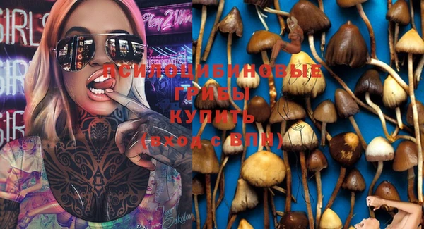 кокаин колумбия Богданович