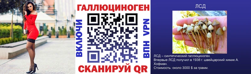 Псилоцибиновые грибы Cubensis  omg рабочий сайт  Кириллов 